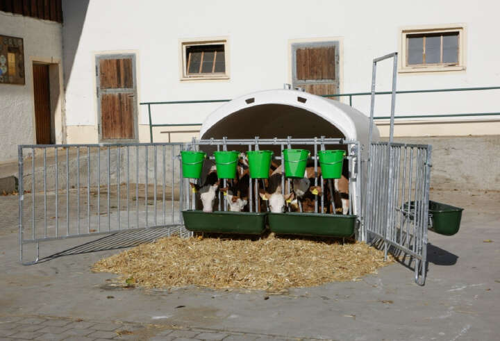 KERBL Kälberbox CalfHouse Premium XL